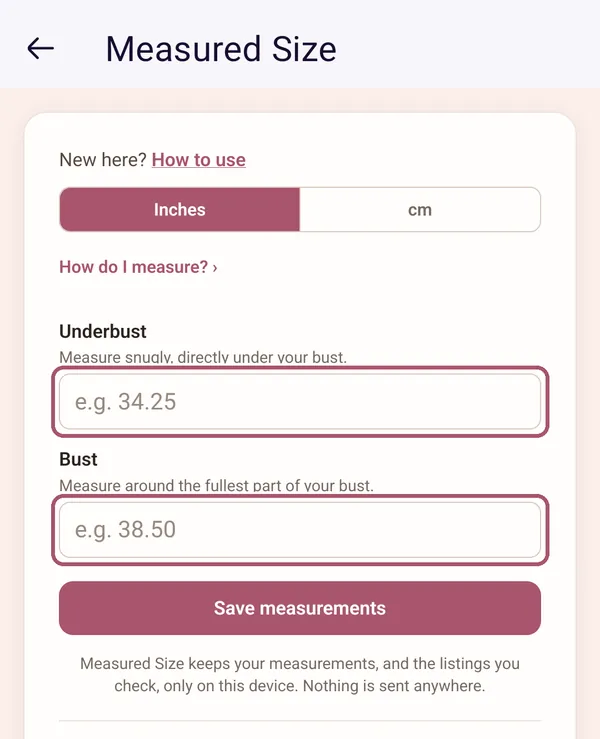 Measured Size asking for measurements. The Underbust and Bust boxes are outlined.