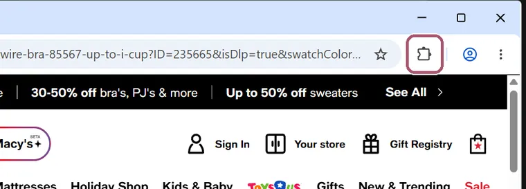 The top right of Chrome. The puzzle-piece button is outlined.
