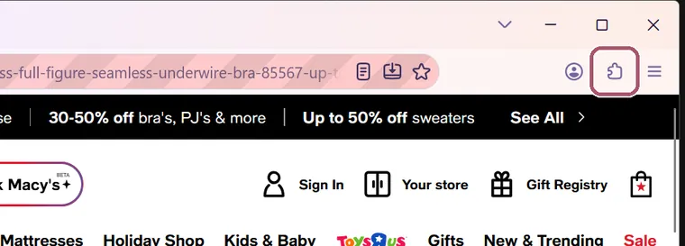 The top right of Firefox. The puzzle-piece Extensions button is outlined.