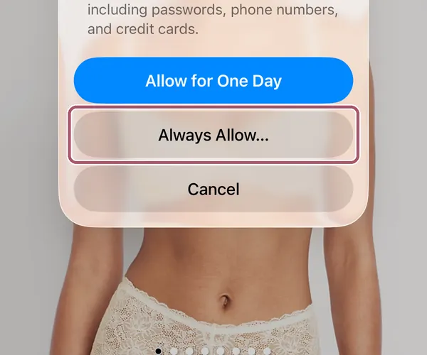 Safari asking whether Measured Size may access oldnavy.gap.com, with "Always Allow…" outlined.