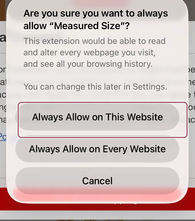 Safari asks again, to be sure. "Always Allow on This Website" is outlined.