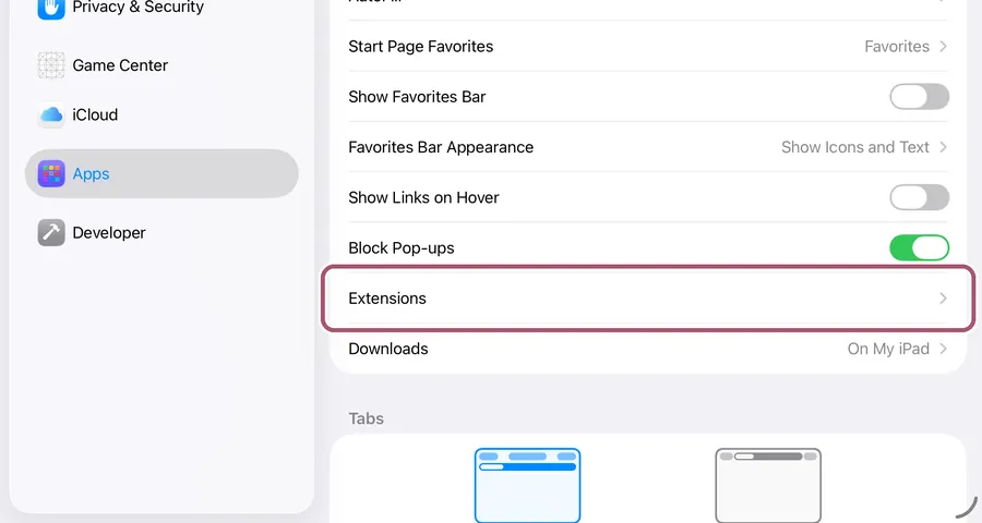 Safari's settings, part way down. The "Extensions" row is outlined.