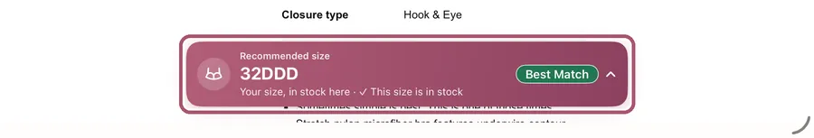 The rose bar at the bottom of the page: "Recommended size" 32DDD, "Best Match" and "This size is in stock". It is outlined.