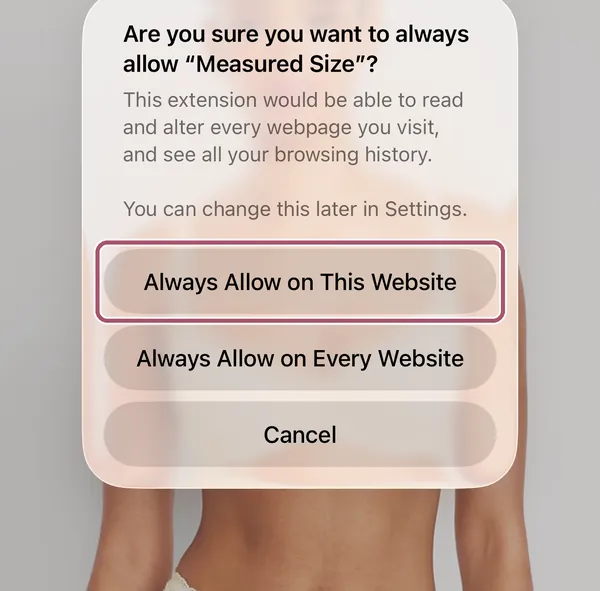 Safari asks again, to be sure. "Always Allow on This Website" is outlined.