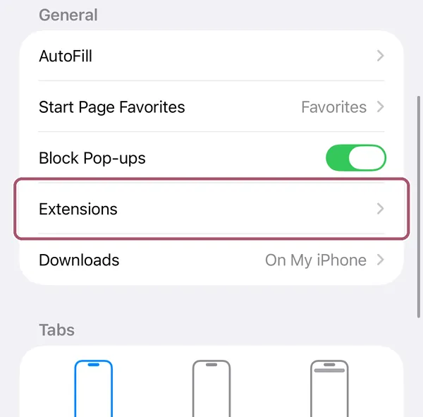 Safari's settings, part way down. The "Extensions" row is outlined.