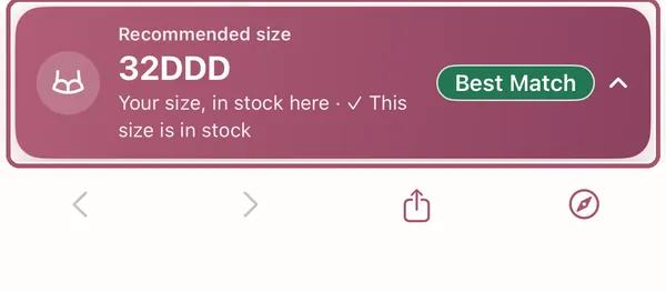 The rose bar at the bottom of the page: "Recommended size" 32DDD, "Best Match" and "This size is in stock". It is outlined.